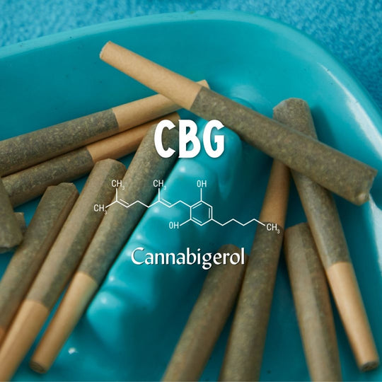 CBG Cannabigerol Molecule Mom Grass Joints On Blue Ashtray