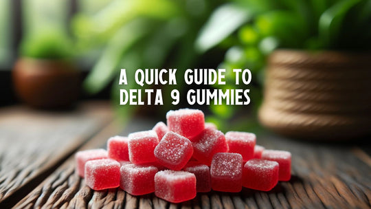 A Quick Guide To Delta-9 THC Gummies
