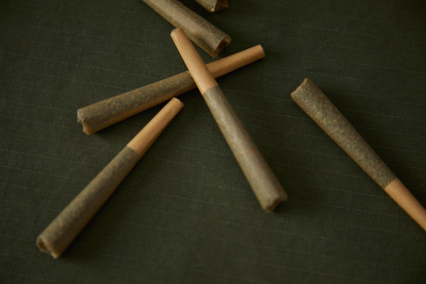 Hemp CBD Pre Rolled Joints on Green Canvas Background