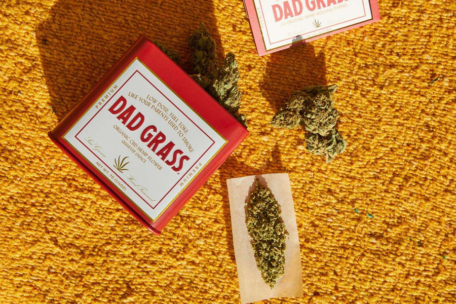 Dad Grass cbd hemp flower and rolling paper on orange carpet