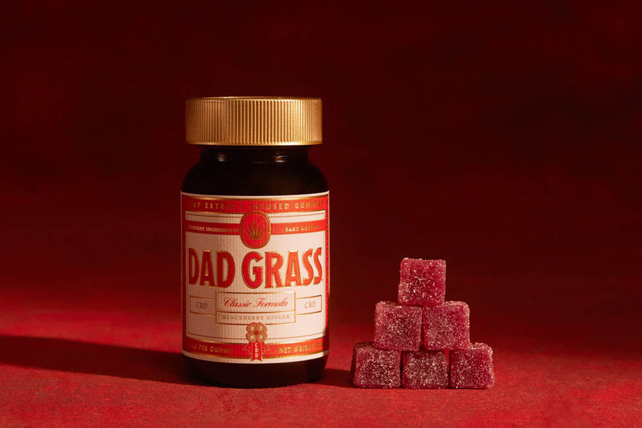 Dad Grass Classic Formula CBD Gummies Bottle With Gummy Cubes