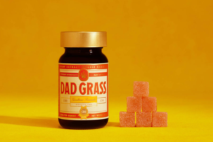 Dad Grass Goodtime Formula CBD + CBG Gummies - Hibiscus Lime Flavor