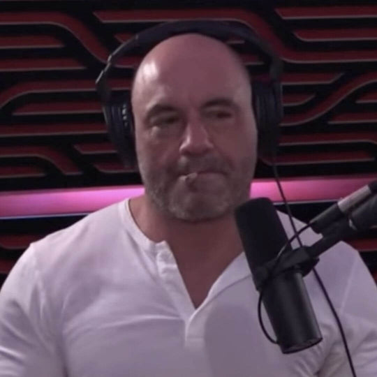 Joe Rogan Sparks Up with Suzanne Santo