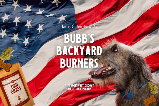 Jams & Joints #27: Bubb's Backyard Burners