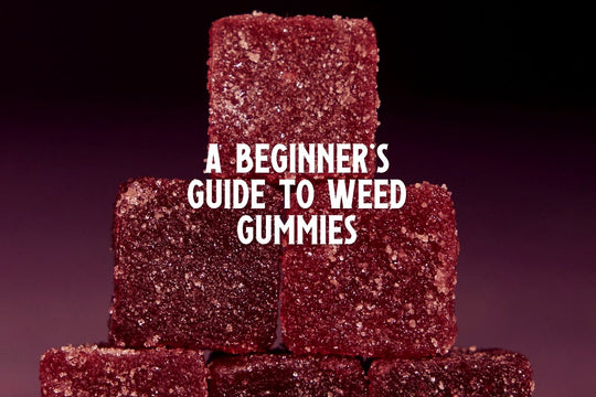 Beginners Guide To Weed Gummies