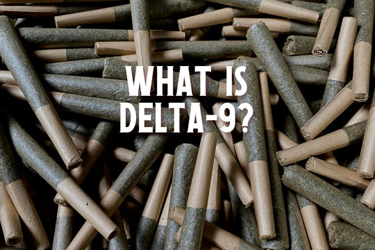 Delta-9-Everything You Need To Know-CBD-THC