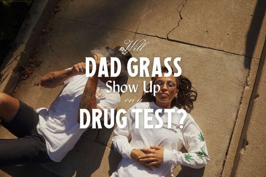 Dad Grass-Blog-Will CBD Show Up On A Drug Test