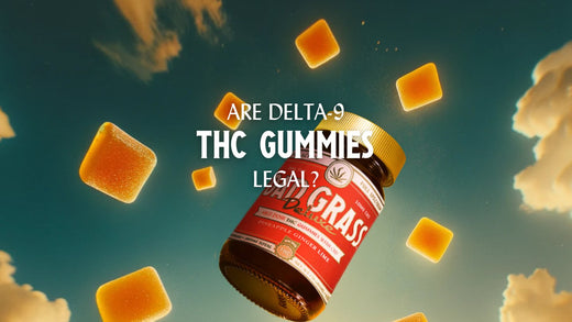 Are Delta-9 THC Gummies Legal?