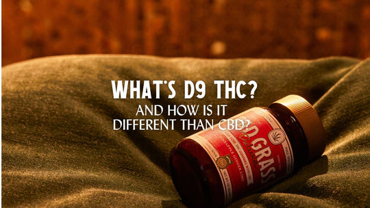 What's D9 THC and How is it different than CBD?