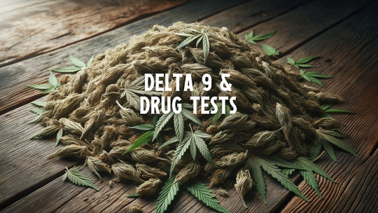 Delta 9 THC And Drug Tests