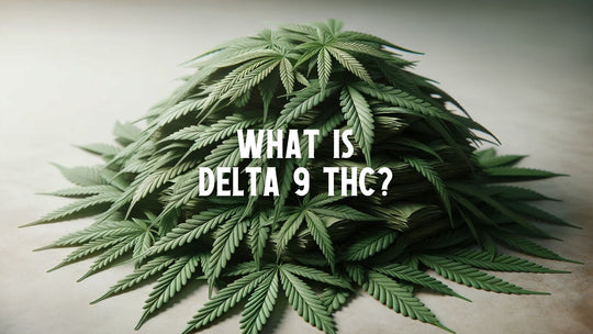 What Is Delta 9 THC?