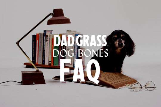 Dad Grass-Dog Bones-CBD Treats