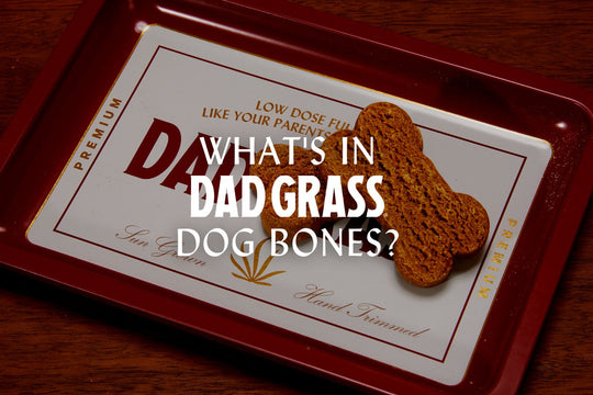 The Dad Grass Dog Bones Formula