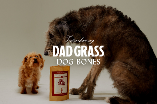 Dad Grass-CBD Dog Bones-Launch