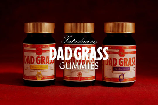 Dad Grass-Gummies-CBD-CBG-CBN-Intro-Blog