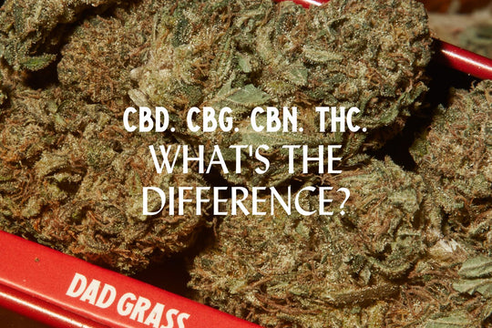 CBD vs CBG vs CBN vs THC: Benefits and Key Differences