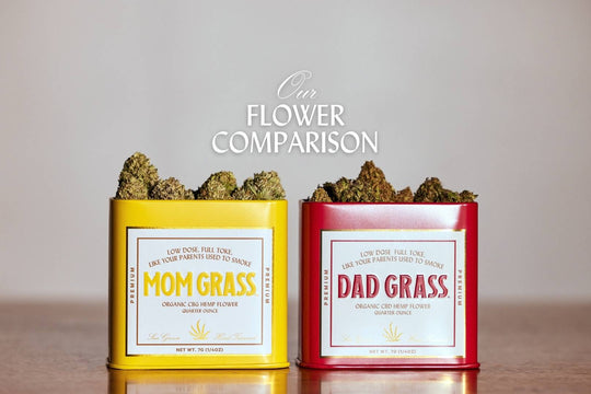 Dad Grass_Mom Grass_Blog_Flower Comparison