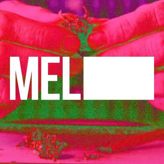 MEL Magazine 12-Hour Dad Grass Experiment