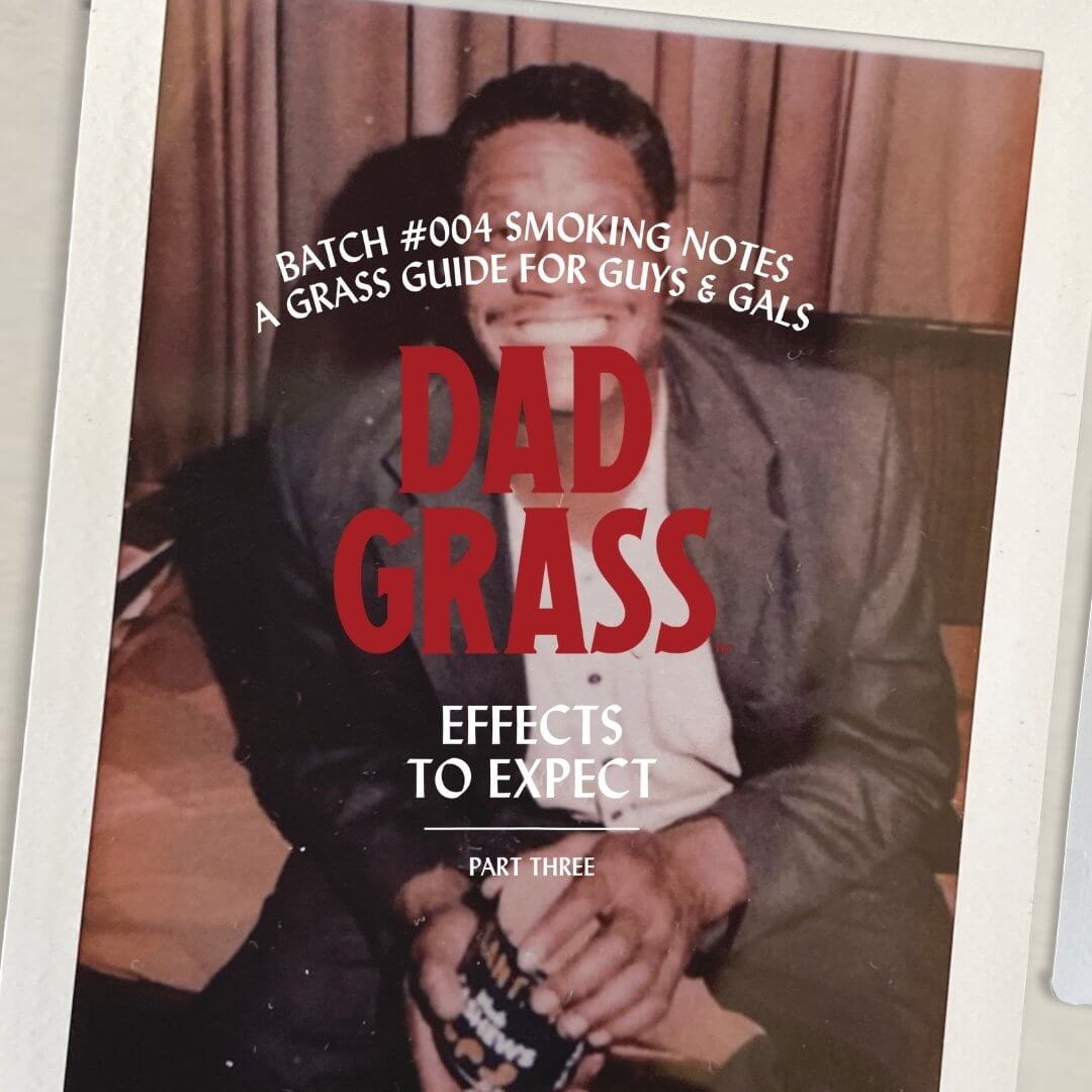 What Effects Can I Expect From Dad Grass CBD Pre Rolls?