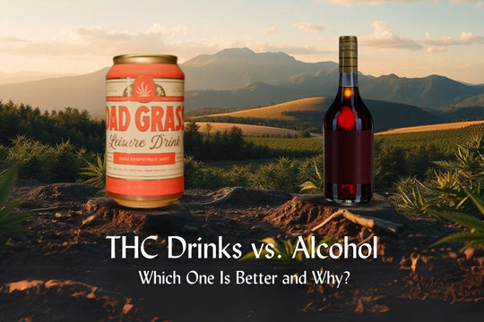 THC Drinks vs. Alcohol: Which One Is Better and Why?