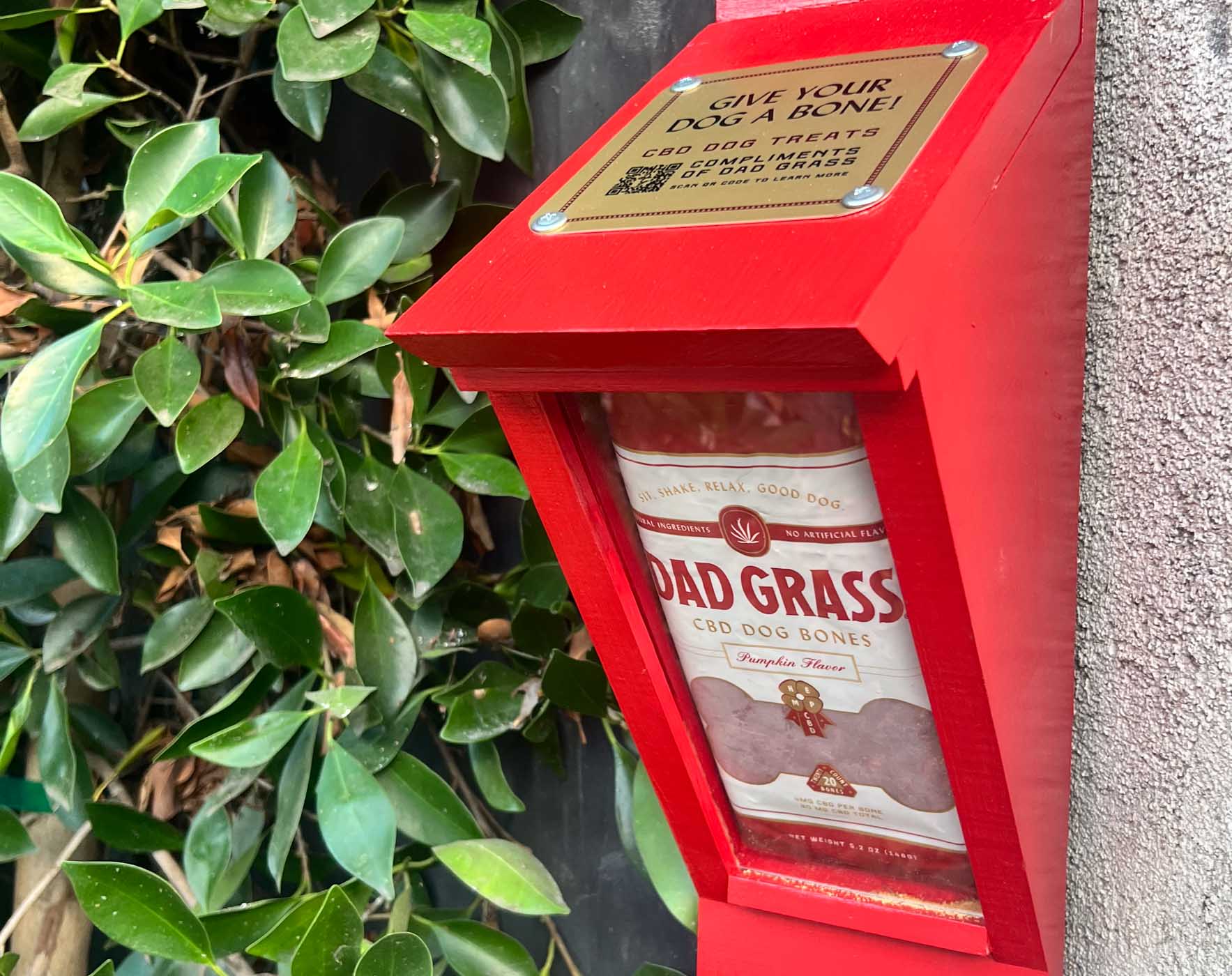 Dad Grass Dog Bones Dog Box