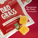 Dad Grass Deluxe THC + CBD Gummies - 10 Pack