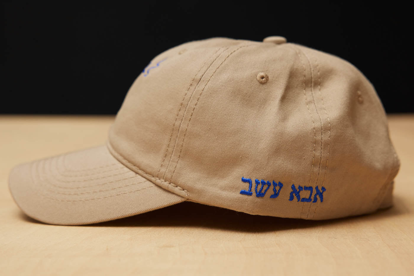 Dad Grass Rabbi Rollie Dark Beige Dad Hat Side View