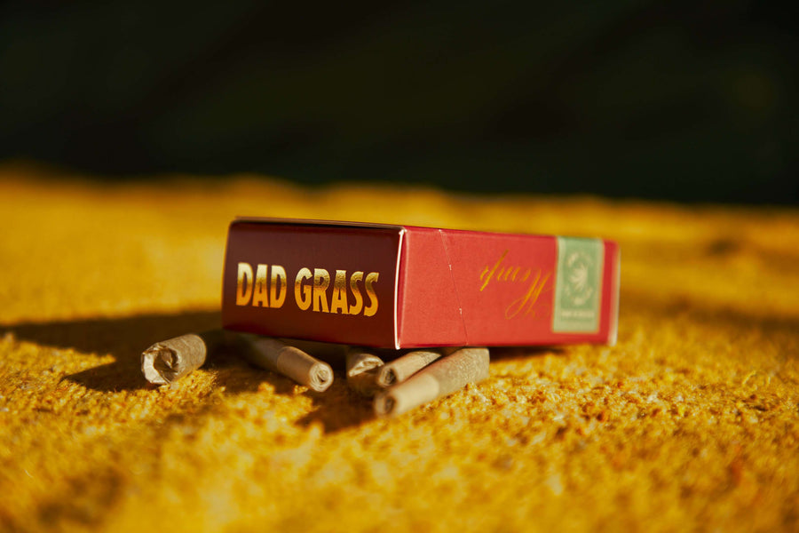 Dad Grass Hemp CBD Pre Roll Joints 5 Pack On A Orange Rug