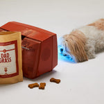 pack of joints for your Dog
