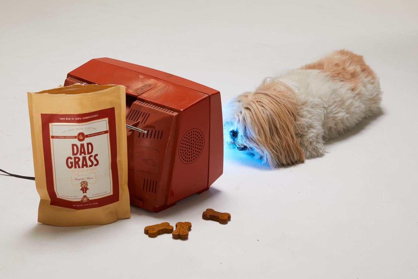 pack of joints for your Dog