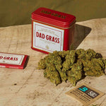 Dad Grass CBD hemp flower And Rolling Paper On A Wooden Table