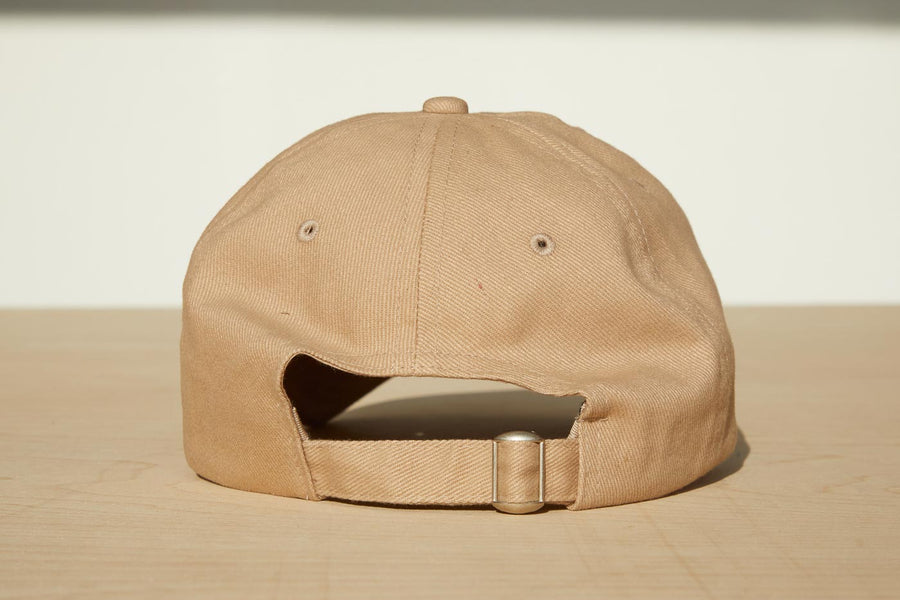 Dad Grass Pride 2021 ‘Daddy Chill’ tan dad hat, rear view
