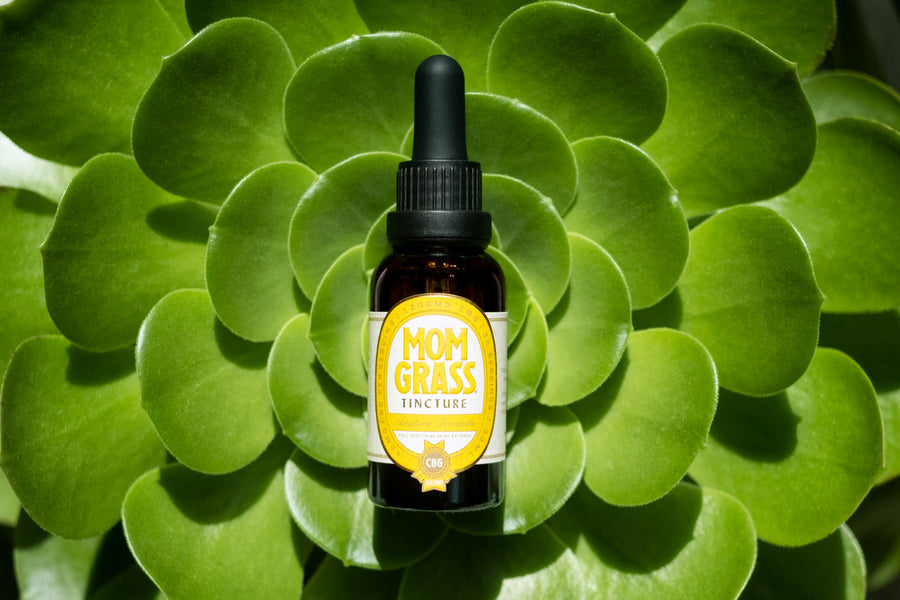 Mom Grass Anytime Formula CBG Tincture Bottle Placed On Refreshing leaves